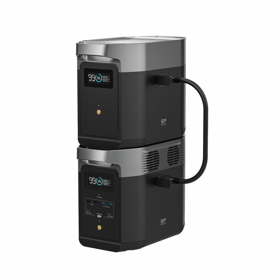 EcoFlow DELTA 2 (1024Wh)